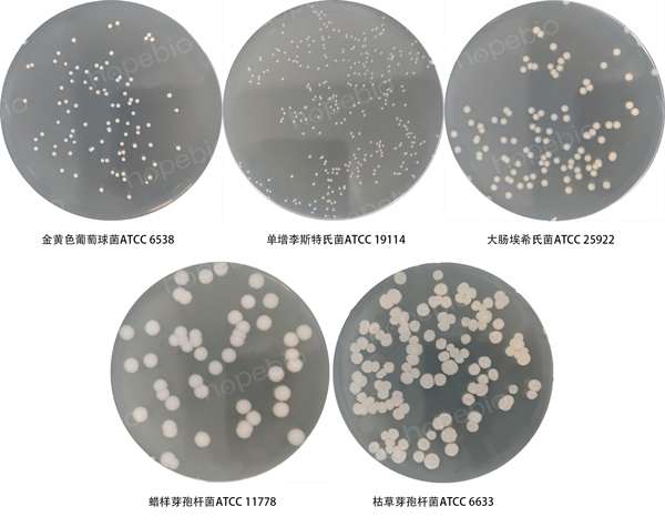 牛肉膏蛋白胨琼脂培养基的微生物质控结果