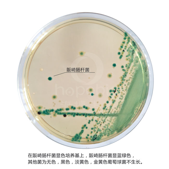 阪崎肠杆菌显色培养基