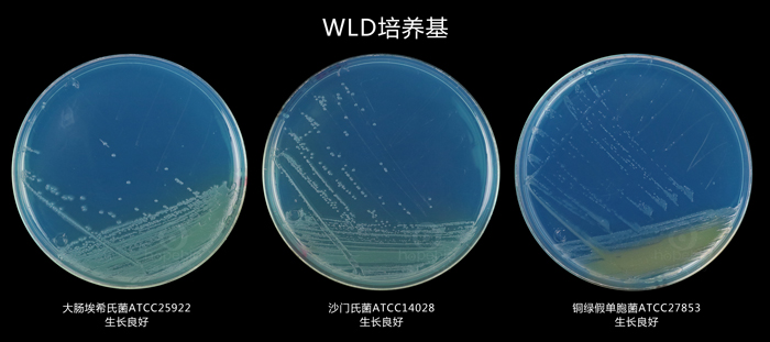 WLD培养基