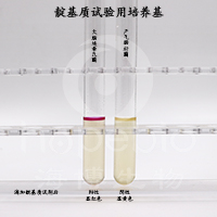 靛基质试验用培养基/