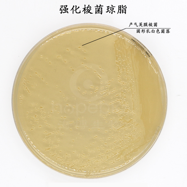 强化梭菌琼脂/